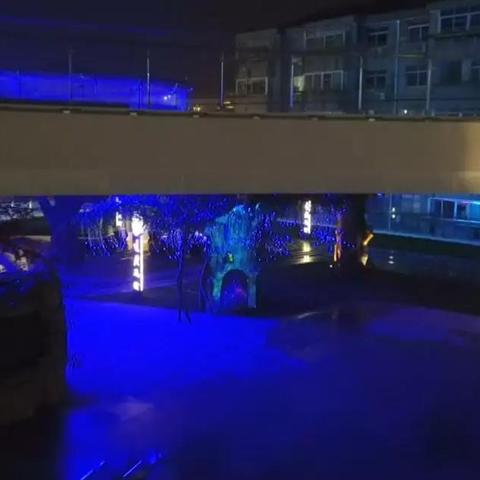 南通鱼缸租赁怎么样相关长尾关键词有哪些