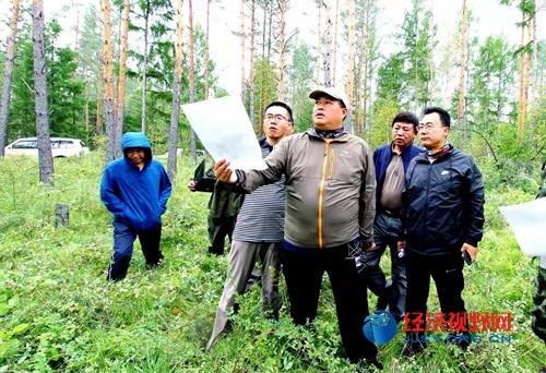 大兴安岭阿木尔林业局砥砺50载峥嵘岁月不忘初心再创辉煌