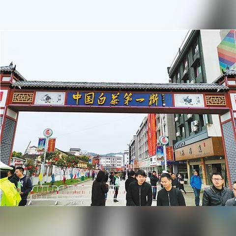 福建点头白茶特点的相关长尾关键词有哪些