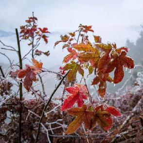 桂林今年有没有下雪呀相关长尾关键词有哪些
