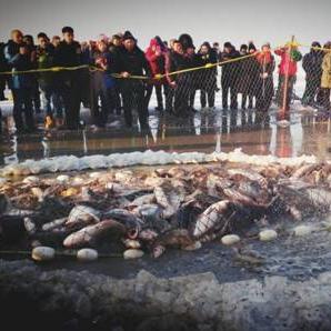 哈尔滨市文体局怎么样