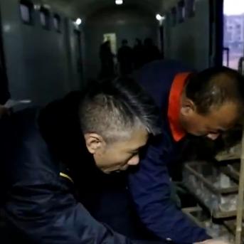 济南市仓鼠医院在哪里啊
