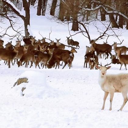 哈尔滨哪有帽子相关长尾关键词有哪些