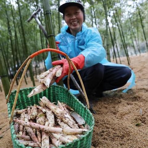 无锡市鲜笋面馆在哪里啊