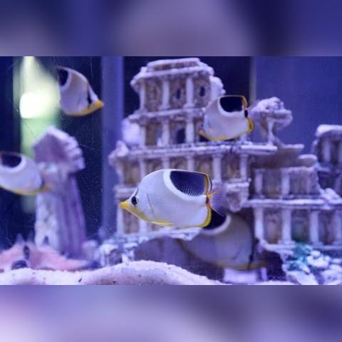 【南京海底世界游玩攻略,2021南京海底世界一日游攻略】