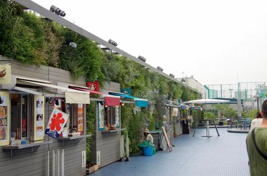 地产项目里做一面绿植墙，颜值高、省成本还环保