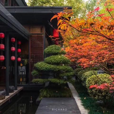 8个月狂赚4亿，平价餐饮卷出百亿上市巨头