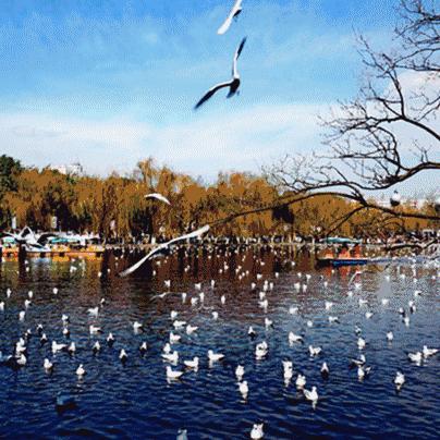 哈尔滨到云南旅游跟团报价相关长尾关键词有哪些