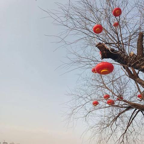 游子居精装公寓菏泽市的长尾关键词有哪些