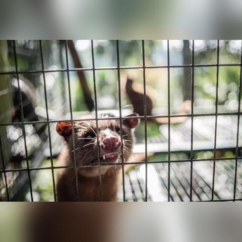 武汉市无证驾驶车辆什么后果