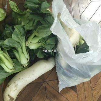 宁波市初中什么时候放假