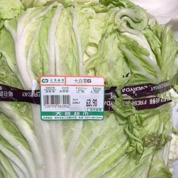 河南哪个村种大白菜多