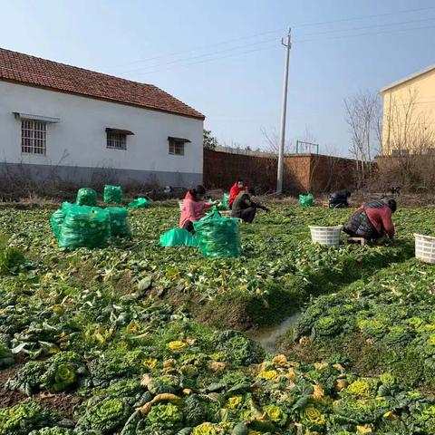 河南支援哪个国家最好