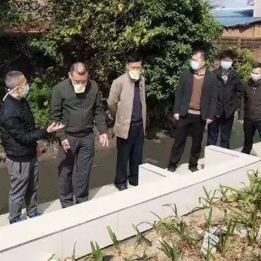 东莞市汽车二手排放标准的长尾关键词有什么