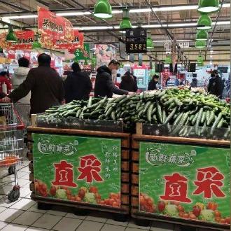 哈尔滨市哪里缺大白菜