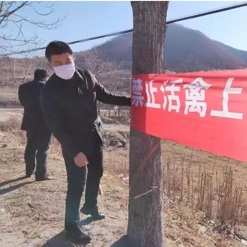 关于在上海的庄河人有多少相关关键词有哪些