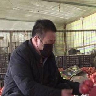 菏泽市西红柿的长尾关键词有什么