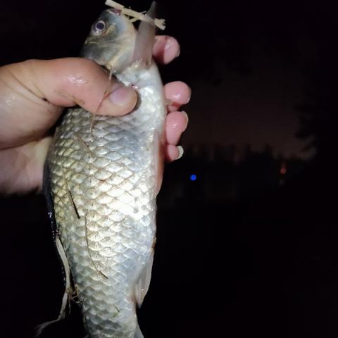 中国平安 合肥相关长尾关键词有哪些