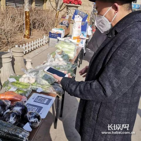 石家庄市哪里买菜便宜