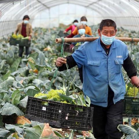 杭州市儿保和儿童哪个