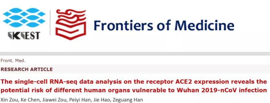 【河北邢台新冠病毒基因测序结果公布
 ,河北邢台新冠病毒基因测序结果公布了吗】