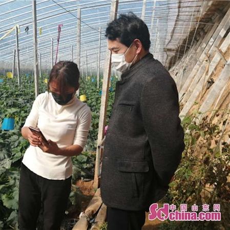 潍坊市夜晚买菜哪里好吃