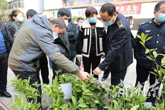 東安綠色柑橘種植手藝_必然要嘗的美食有哪些