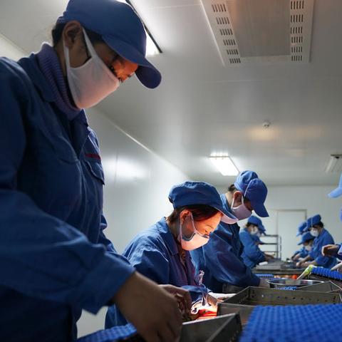 哈尔滨批发粮油的市场相关长尾关键词有哪些