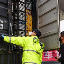 上海蜜接到哪些外地