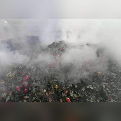 昆明市汽车损失鉴定的长尾关键词有什么