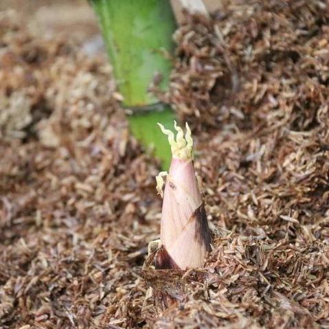 临安今日天气预报的长尾关键词有哪些