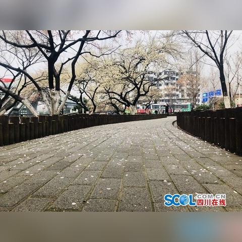 武汉市最长的楼盘是哪个