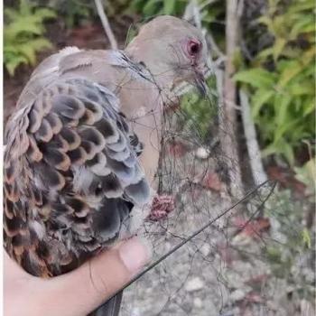 泉州市环境投诉电话的长尾关键词有哪些