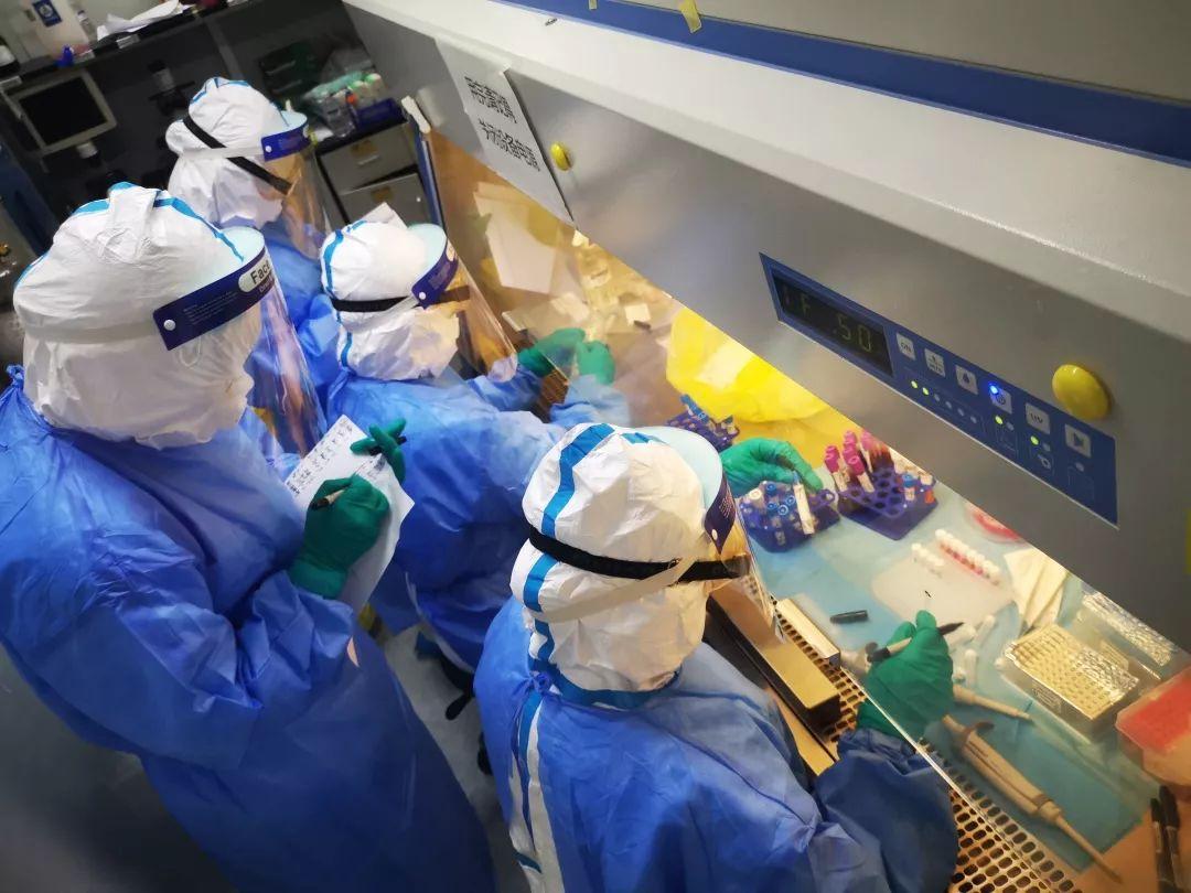 【全国各地感染高峰进度
 /全国感染地区】