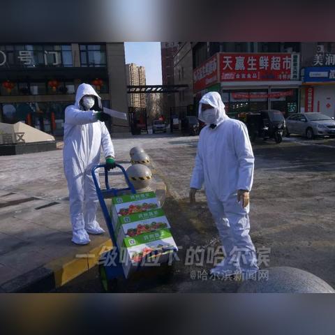 哈尔滨市小区哪个好