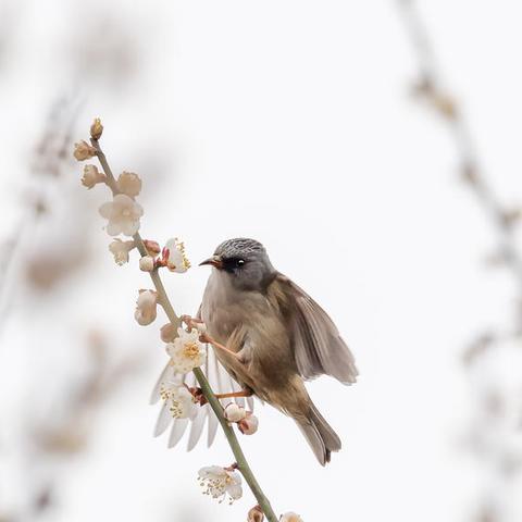 重庆旅游景点的长尾关键词有哪些