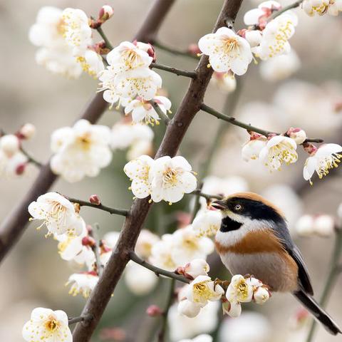 重庆大学研究生档案查询的长尾关键词有什么