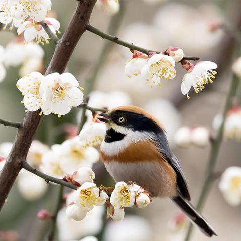 重庆大学收理还是文的长尾关键词有哪些