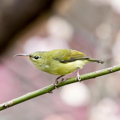 重庆大学研究生招生文案的长尾关键词有什么