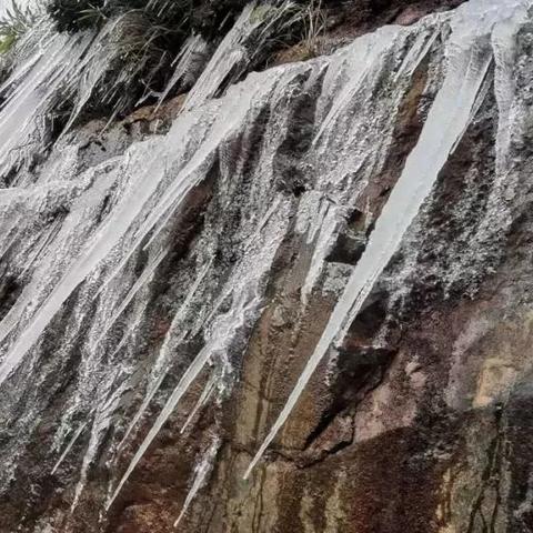 【福建今日气温】2025年5月15日福建气温是多少