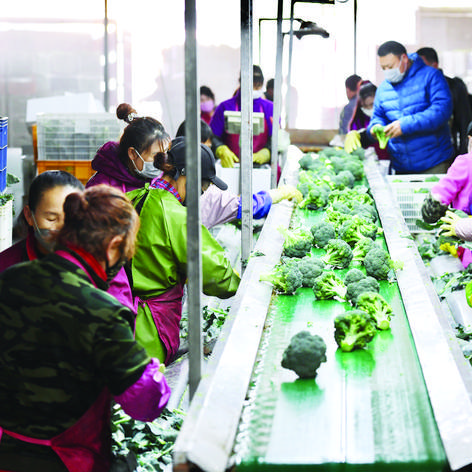 福建女孩摆摊卖菜怎么样