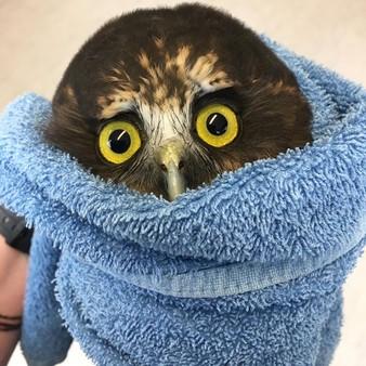 保定市钢质防火窗的长尾关键词有哪些