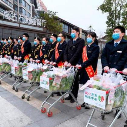 桂林蔬菜收购电话地址相关长尾关键词有哪些