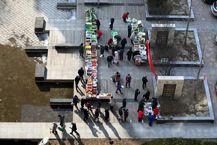 蔬菜直通车销售技巧 蔬菜直通车销售方案怎么写