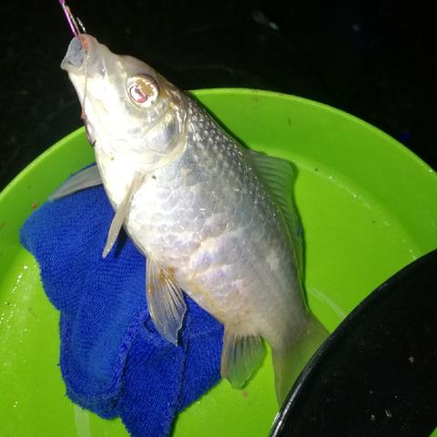 南通海南春江长尾关键词有什么