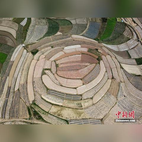 南宁12号的天气怎么样