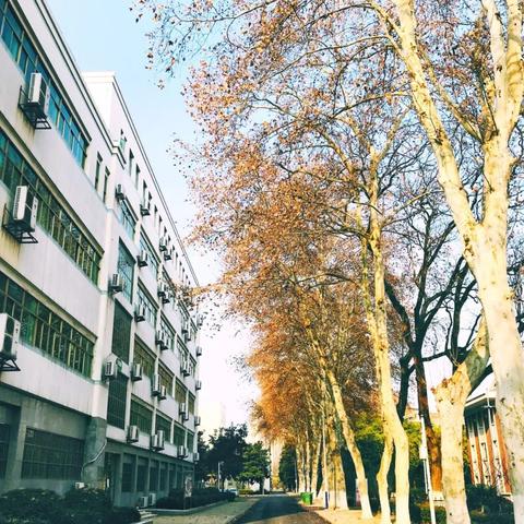 长沙市玉兰路有什么大学