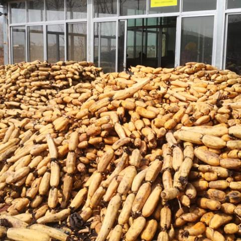 武汉和济南哪个更好？