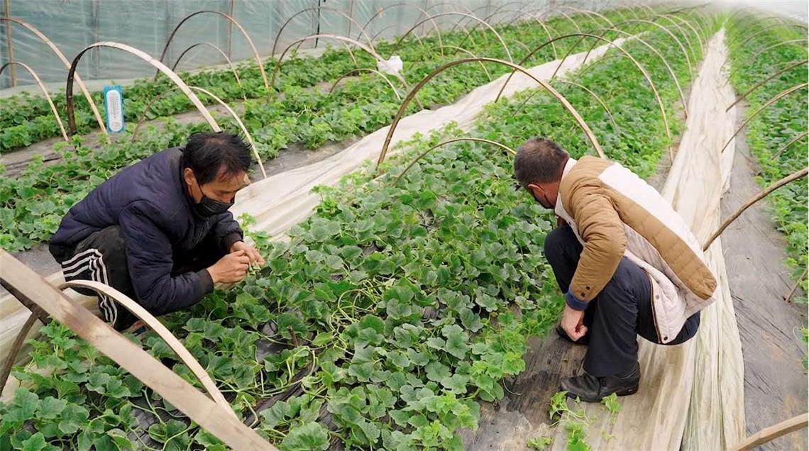 【莱西疫情
 ,莱西疫情封城是几月几号】