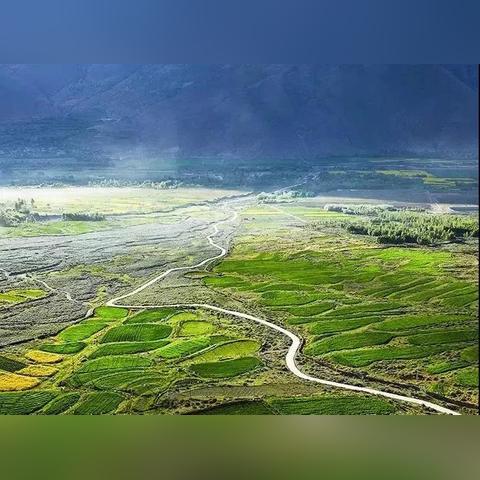 赣州市哪里可以摘枇杷的长尾关键词有哪些